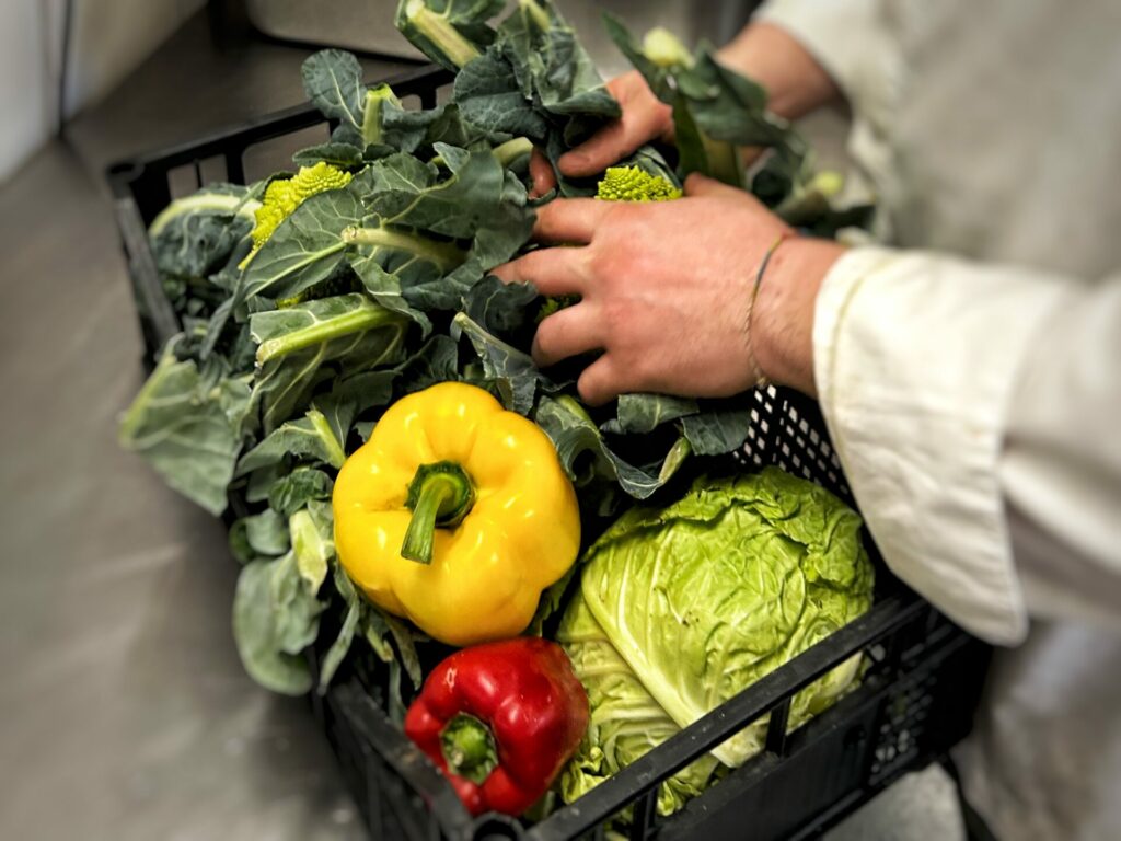 mani di cuoco che prepara per gastronomia cibo fresco